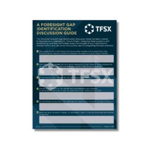 Foresight Gap Identification Worksheet