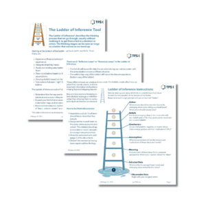 Ladder of Inference Worksheet