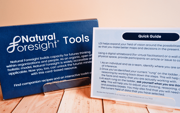 Natural Foresight® Toolkit Card Deck