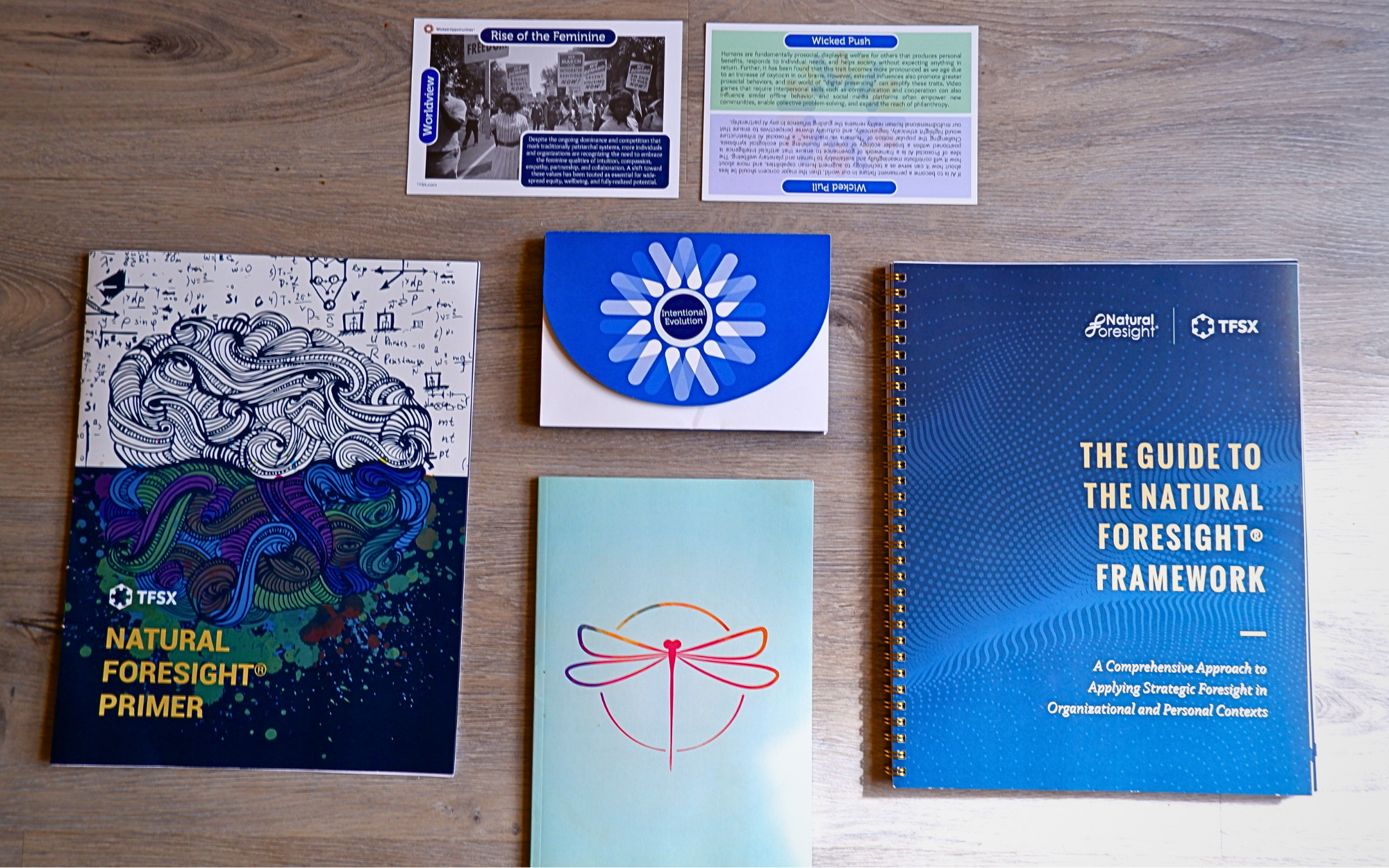 The Conscious Futures Team Kit