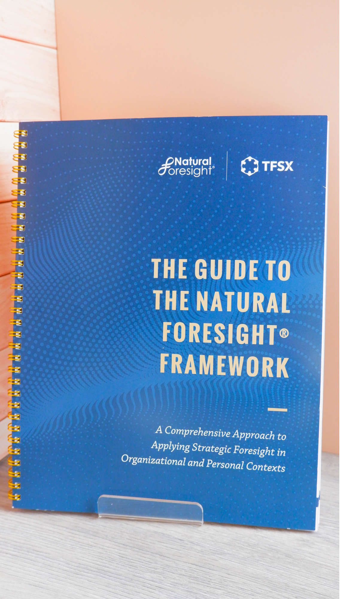 The Empowered Futures Team Kit - Image 6