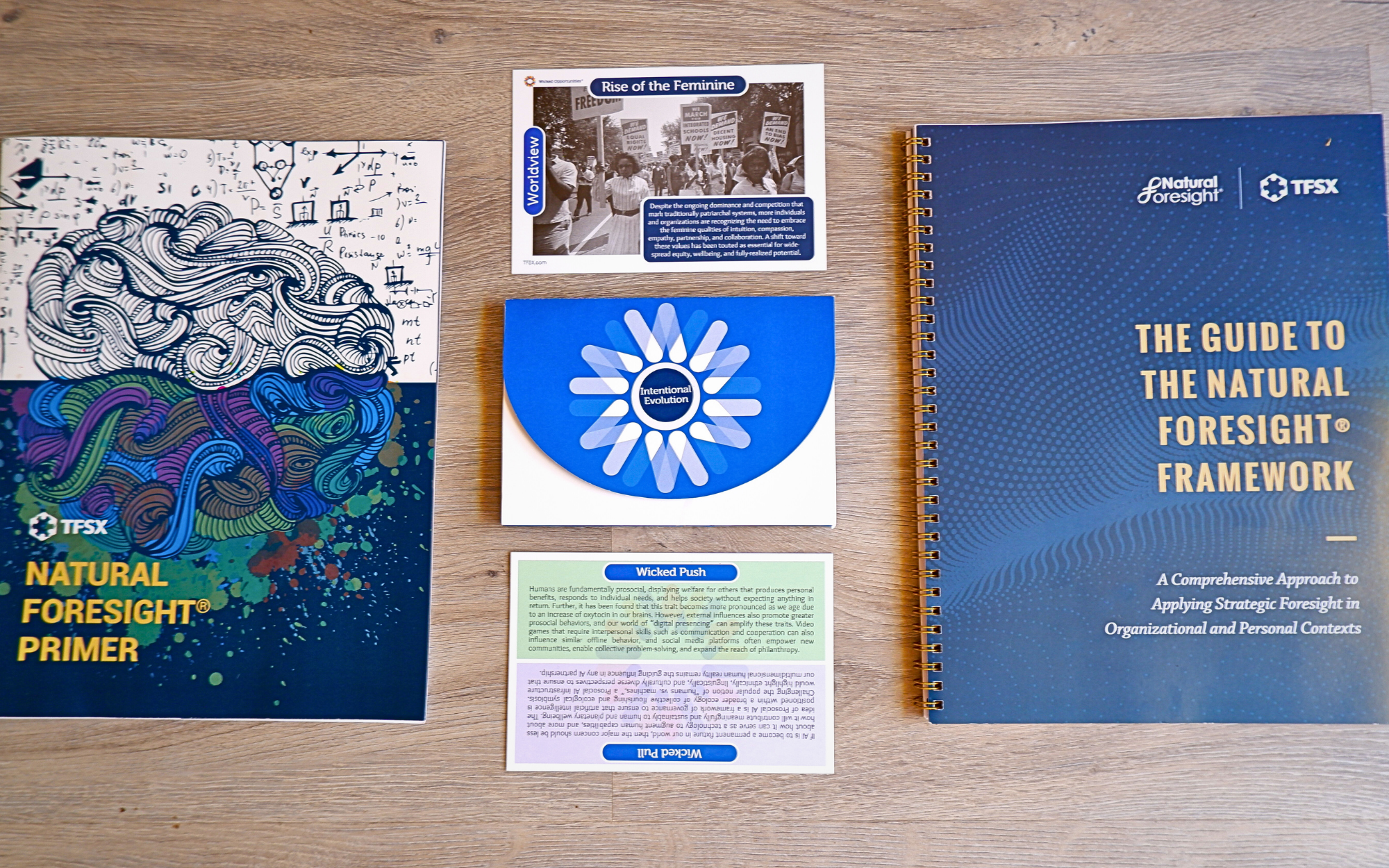 The Empowered Futures Team Kit